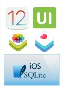 iOS12应用开发教程套装大学霸内部资料